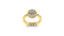 The Grand Bubble of…Love