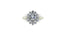 The Duchess Rise…Love