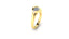 The Swirl...Love
