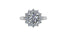The Grand Duchess…Love