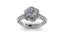 The Petal Halo...Love