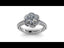 The Petal Halo...Love