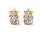 Greta Multi Gemstones Earrings